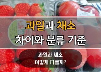 과일-채소-차이와-분류-기준