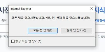 인터넷 익스플로러 창 닫기 옵션 설정 방법