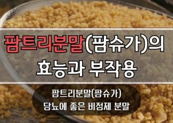 팜트리분말팜슈가의-효능과-부작용