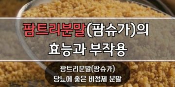 팜트리분말팜슈가의-효능과-부작용