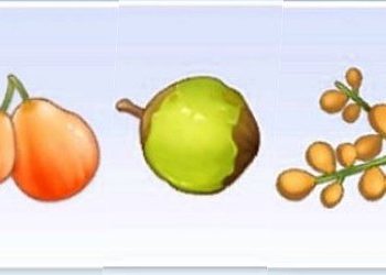 라그나로크 오리진 – 열매 위치 정보 (스크린샷)