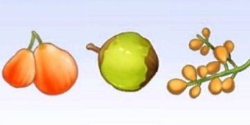 라그나로크 오리진 – 열매 위치 정보 (스크린샷)