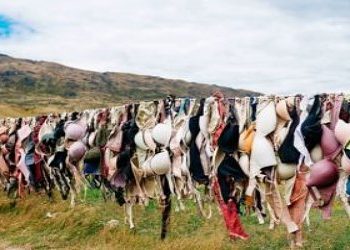 건강-하려면-속옷을-벗어-던져라