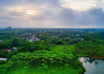 누구나-간단히-지킬-수-있는-친환경-생활-수칙들