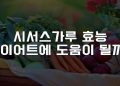 시서스가루 효능 다이어트에 도움이 될까