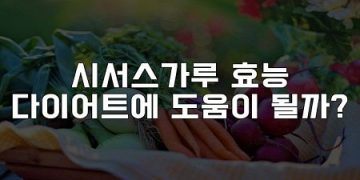 시서스가루 효능 다이어트에 도움이 될까