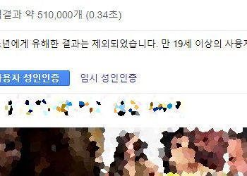 구글 검색 성인인증 없이 이용하는 방법