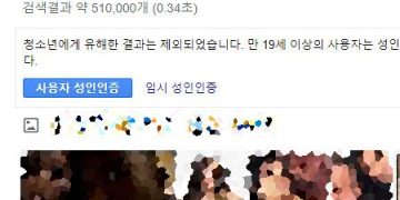 구글 검색 성인인증 없이 이용하는 방법