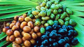 쏘팔메토의 효능과 영양제 고르는 방법, 하루권장량은