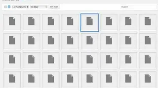 워드프레스 미디어 라이브러리에서 비어있는 썸네일을 수정하는 방법
