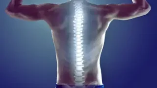 척추와 허리 건강에 도움을 줄 수 있는 10가지 음식