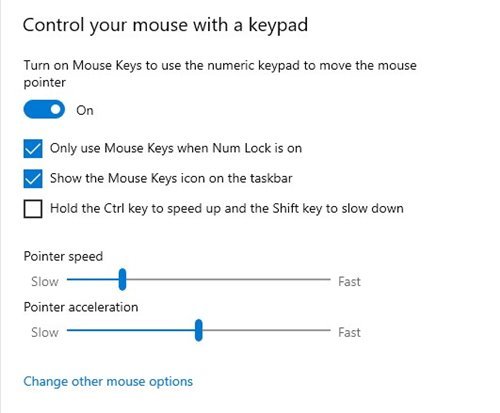 Windows 10/11'de sayısal tuş takımı fare işaretçisi olarak nasıl