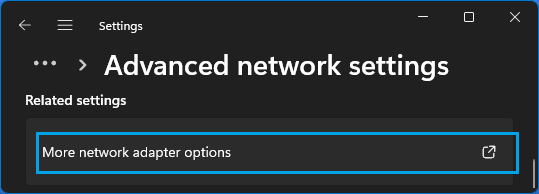 추가 네트워크 어댑터 옵션 Windows 11