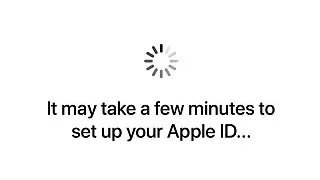 Apple ID를 설정하는데 몇 분 정도 걸릴 수 있습니다 문제 해결 방법