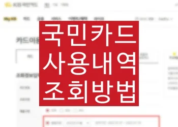 1년이상 된 국민카드 사용내역 조회 하는법