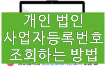 개인, 법인 사업자 등록번호 조회하는 방법