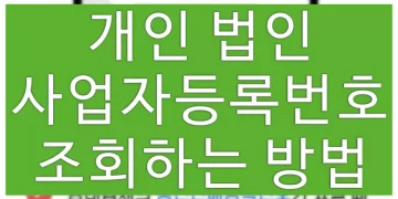 개인, 법인 사업자 등록번호 조회하는 방법