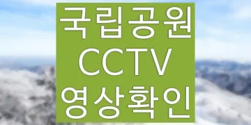 국립공원 날씨 확인을 위한 실시간 CCTV 영상 이용 방법