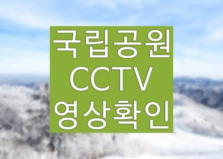 국립공원 날씨 확인을 위한 실시간 CCTV 영상 이용 방법