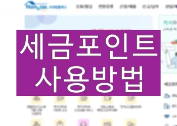 세금포인트 소멸 전 할인쇼핑몰에서 사용하는 방법