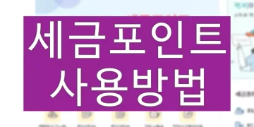 세금포인트 소멸 전 할인쇼핑몰에서 사용하는 방법