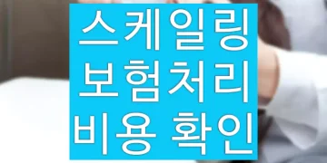 스케일링 보험처리 비용 확인 (가격, 나이, 대상)