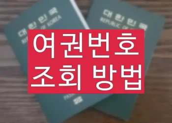 여권번호 확인용 인터넷 조회 방법 (여권발급이력조회)