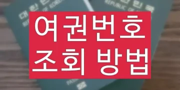 여권번호 확인용 인터넷 조회 방법 (여권발급이력조회)