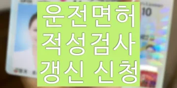 운전면허 적성검사 갱신 온라인 신청 방법 (주기, 준비물)