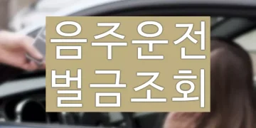 음주운전 벌금 기준, 액수 감면 방법