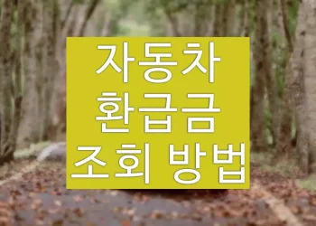 자동차 환급금(5년이상) 조회 방법