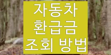 자동차 환급금(5년이상) 조회 방법