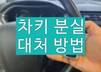 차키 잃어버렸을 때 해야 할 일 (자동차 스마트키 분실)