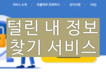 털린 내 정보 찾기, 홈페이지에서 유출 여부 확인