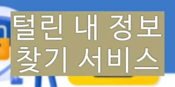 털린 내 정보 찾기, 홈페이지에서 유출 여부 확인