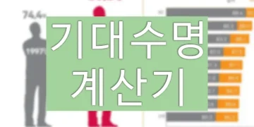 한국인 기대수명 계산방법 (기대수명 계산기)