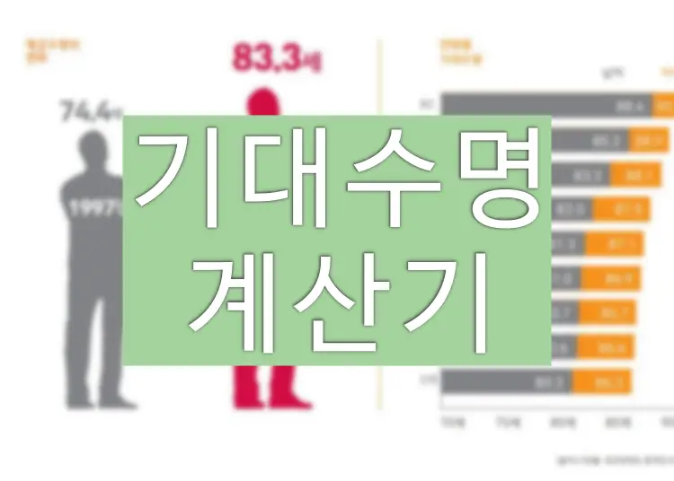 한국인 기대수명 계산방법 (기대수명 계산기)