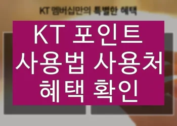 KT 포인트 사용법, 사용처 혜택 확인