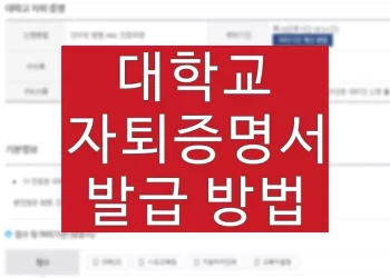 대학교 자퇴증명서 발급 방법 (자퇴기록 인터넷 발급)