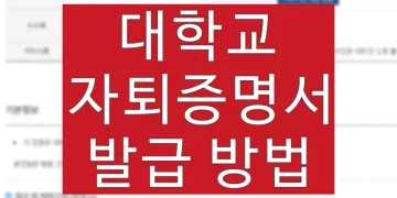 대학교 자퇴증명서 발급 방법 (자퇴기록 인터넷 발급)