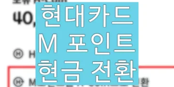 현대카드 M포인트 현금전환 사용방법 (H-Coin 계좌이체)