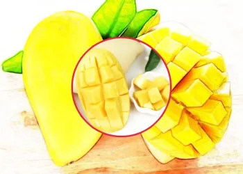 망고의 효능과 부작용 건강과 맛을 동시에 즐기는 방법