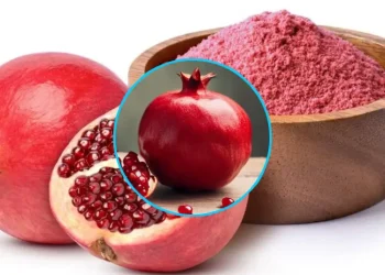 석류의 효능과 부작용 놀라운 건강 효과와 먹는 방법