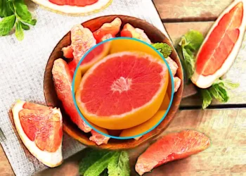 자몽의 놀라운 효능과 부작용 건강한 생활에 자몽을 더하세요