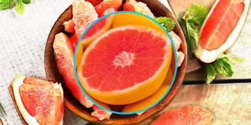 자몽의 놀라운 효능과 부작용 건강한 생활에 자몽을 더하세요