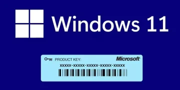 CMD와 Powershell을 활용한 Windows 11 제품키 찾기 가이드