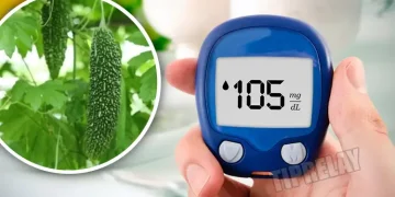 여주, 당뇨 예방은 물론 고혈압과 콜레스테롤 개선 효과 탁월한 건강과일