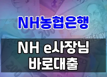 개인사업자를 위한 농협은행 비대면 신용대출 | NH e사장님 바로대출
