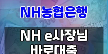 개인사업자를 위한 농협은행 비대면 신용대출 | NH e사장님 바로대출