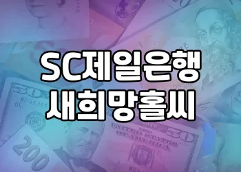 SC제일은행 새희망홀씨 대출 | 대상, 조건, 후기와 함께 알아보기